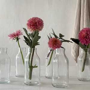 7 French Vintage Pharmacy Bottles, Vases, Birthday Party, Cocktails