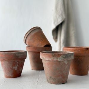 5 French Vintage Terracotta Plant Pots