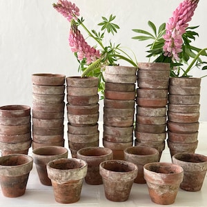 Peut inclure: Une collection de petits pots de fleurs en terre cuite patinés, empilés et disposés en rangées. Les pots ont un aspect rustique et vieilli avec des variations de texture et de couleur visibles. Des fleurs de lupin roses et du feuillage vert sont en arrière-plan.