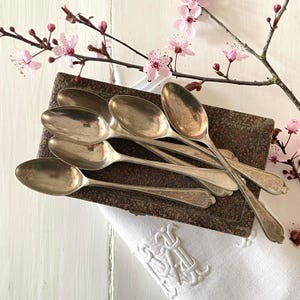 May include: A collection of silver spoons arranged on a vintage book, with a white embroidered napkin and pink cherry blossom branches. The spoons have a classic design and are likely made of stainless steel.