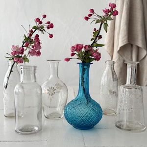 May include: An assortment of clear glass vases and a turquoise blue vase, each holding pink flowering branches. The vases vary in shape and design, creating a charming display. The arrangement is set against a white backdrop.