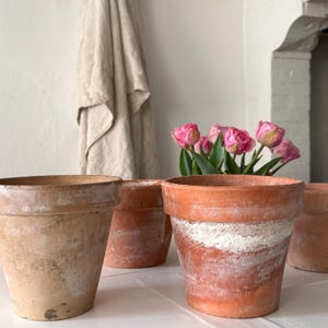Peut inclure: Plusieurs pots de fleurs en terre cuite patinés, avec des dépôts minéraux blancs. L'un des pots contient des tulipes roses. Les pots sont disposés sur une surface blanche, avec un tissu de couleur neutre en arrière-plan.