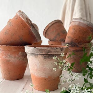 12 French Vintage Terracotta Plant Pots