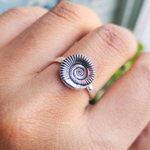 Pu&ograve; includere: Anello d'argento con un design circolare dettagliato che ricorda un fossile di ammonite. L'anello ha una fascia in argento lucido e il punto focale &egrave; il design a spirale e strutturato dell'ammonite. L'anello &egrave; indossato su un dito.