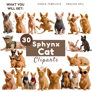Sphynx Cat Clipart Bundle: Funny Hairless Cat Graphics (30 PNG, Canva Template)