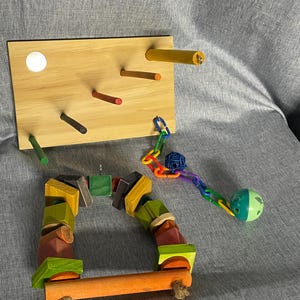 Parakeet Wall Perch with Swing