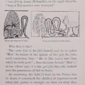Pu&ograve; includere: Pagina di un libro con testo e illustrazioni. Il titolo &egrave; "THE CAT BY THE PERSEA TREE." Le illustrazioni raffigurano un gatto, un serpente e un albero. Il testo descrive il ruolo del gatto nella mitologia egizia antica.