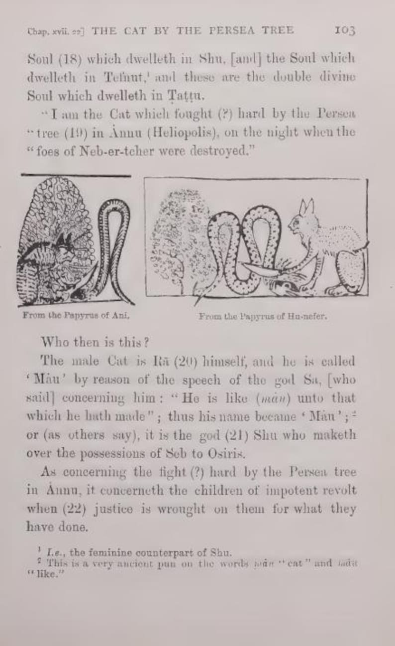 Pu&ograve; includere: Pagina di un libro con testo e illustrazioni. Il titolo &egrave; "THE CAT BY THE PERSEA TREE." Le illustrazioni raffigurano un gatto, un serpente e un albero. Il testo descrive il ruolo del gatto nella mitologia egizia antica.