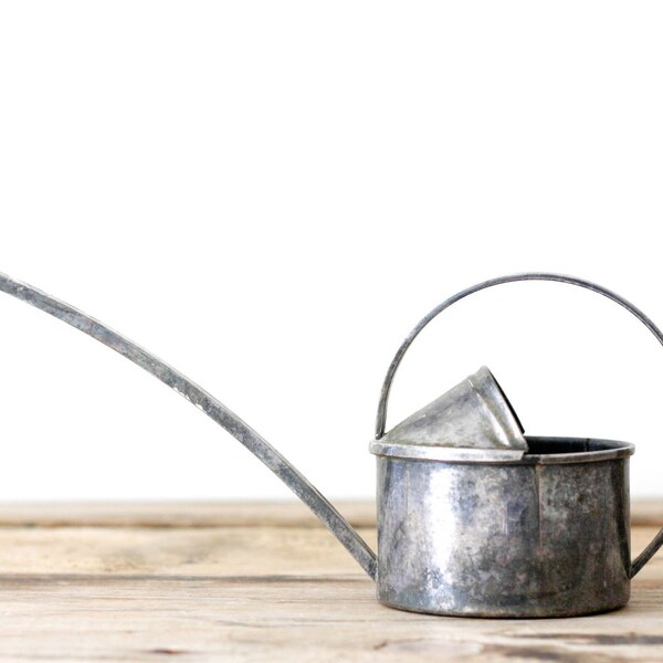 Silver Watering Can