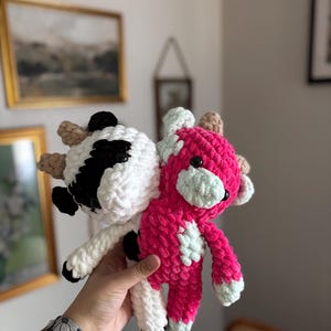 Two Headed Cow