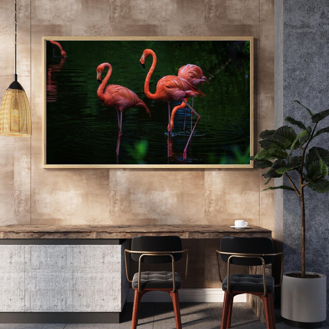 Flamingo Trio - Elegant Tropical Birds Digital Print | Pink Flamingos ...