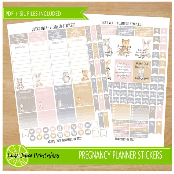 PREGNANCY Planner Stickers Printable Planner Sticker Set | Etsy