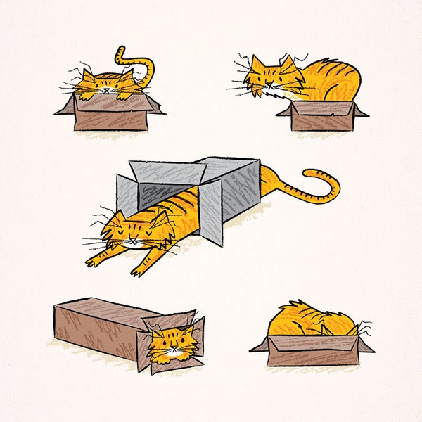 Marmalade, cats in boxes, animal art poster print by Oliver Lake - iOTA iLLUSTRATiON