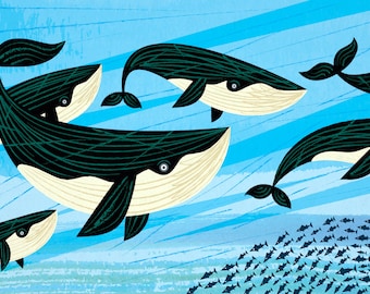 Whale Swim - whales - nature / wildlife - animal art - nursery decor print by Oliver Lake - iOTA iLLUSTRATiON