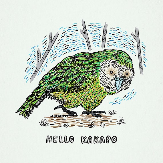 Hello Kakapo, Animal Art Poster Print by Oliver Lake