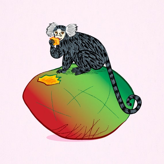 The Marmoset and the Mango - Animal Art Poster Print by Oliver Lake