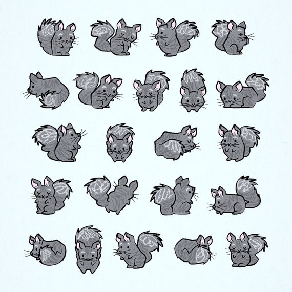 All Chinchilla No Filla, Animal Art Poster Print by Oliver Lake