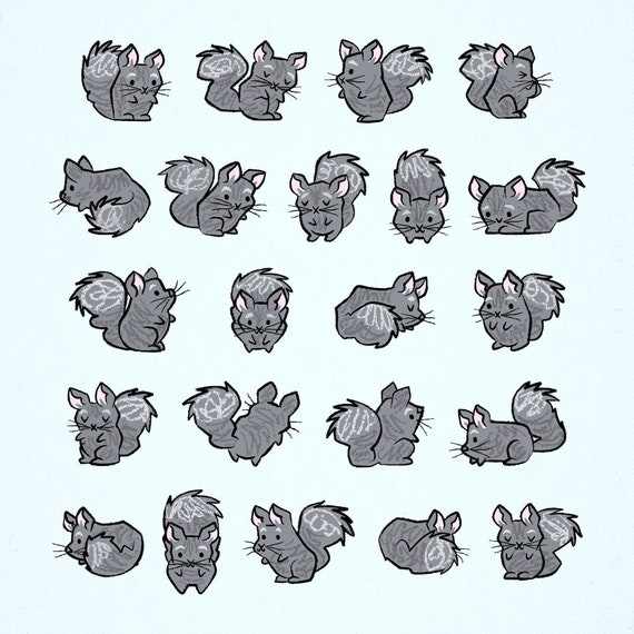 All Chinchilla No Filla,  Animal Art Poster Print by Oliver Lake