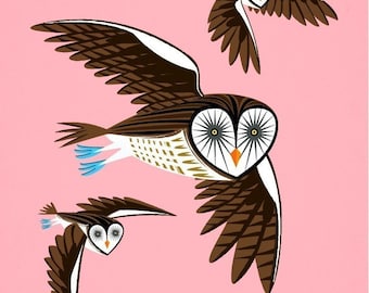 iOTA iLLUSTRATION - Owls On The Prowl - Animal Art Limited Edition Print