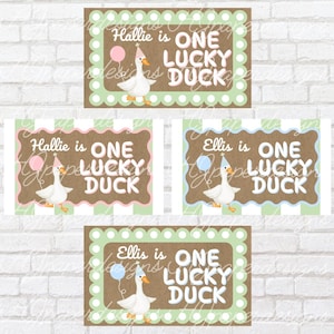 painted banner template | 1st birthday banner | ONE lucky duck banner | first birthday banner | custom birthday banner | DIGITAL DOWNLOAD