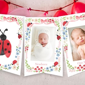 May include: A set of banners featuring a ladybug illustration and two baby photographs. The ladybug banner has a red and black ladybug with a floral border. The other banners display photos of a newborn and a one-month-old baby.