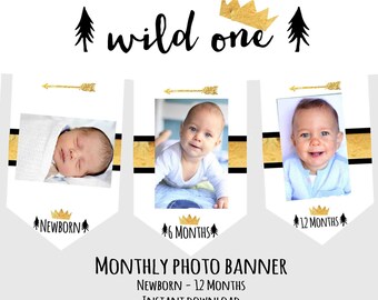 WILD ONE Birthday party decorations Wild One Month Photo banner Boy Crown Monthly Photo banner Arrow Month Tribal Milestone Gold Black