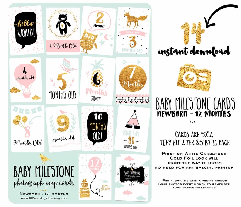 Baby Milestone Cards Baby Girl Milestone Cards Gold Pink Mint Milestone cards Printable Milestone cards Newborn Photo prop Photography