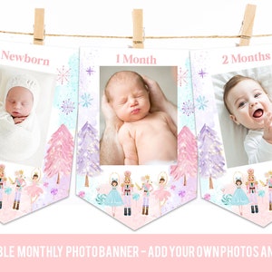 Nutcracker Birthday party monthly photo banner banner Winter Onederland decorations Sugar plum fairy party ballerina milestone photos pink