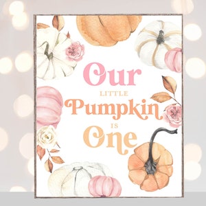 May include: A rectangular sign with watercolor pumpkins, roses, and leaves. The text "Our little Pumpkin is One" is written in pink and orange. The pumpkins are white, orange, and pink.