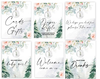 PINK WINTER BABY Shower signs set, Food, Drinks, cards and gifts, party favor sign, welcome sign, diaper raffle sign, Pink blush snowflakes