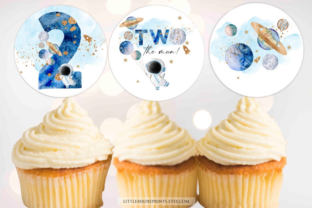 TWO the Moon Birthday Party Decorations, OUTER Space Boy 2nd Birthday ...