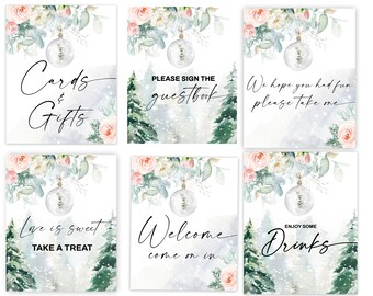 WINTER BRIDAL Shower signs set, Food, Drinks, cards and gifts, party favor sign, welcome sign, guestbook, Pink blush snowflakes bridal