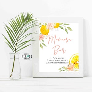 LEMON Momosa Bar sign baby shower sign Main squeeze baby shower Mom-osa bar sign Main squeeze baby shower Lemonade mimosa bar sign birthday