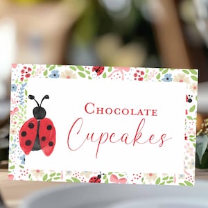 Puede incluir: Un letrero rectangular con las palabras "Chocolate Cupcakes" en escritura roja. El letrero tiene un borde floral con ilustraciones de mariquitas. La mariquita es roja con puntos negros y una cabeza negra.