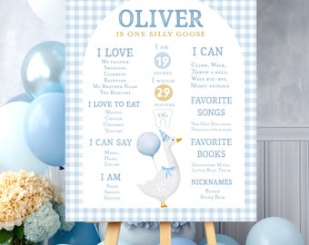 Boy One silly goose birthday milestone poster Boy Blue silly goose first birthday party firsts board goose 1st birthday decorations spring