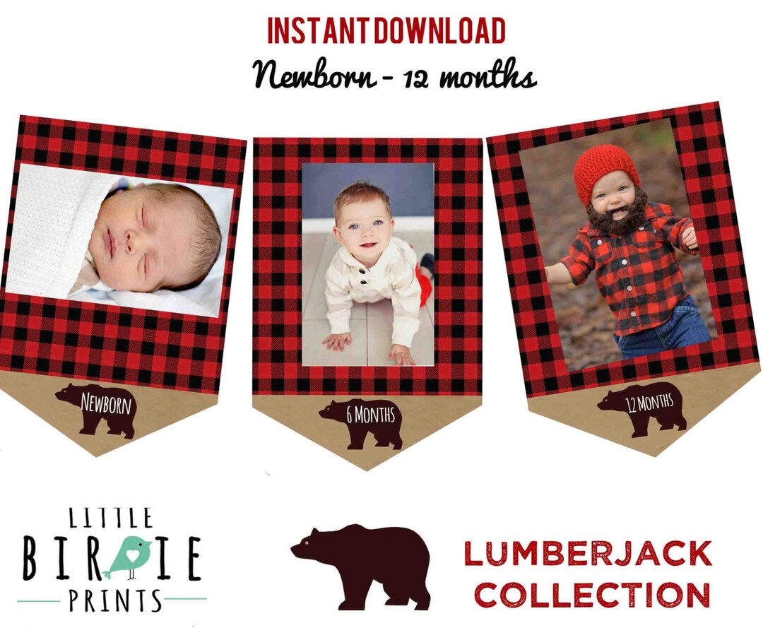 LUMBERJACK First Birthday Party Lumberjack Monthly Photo Banner Month Circles Lumberjack Party