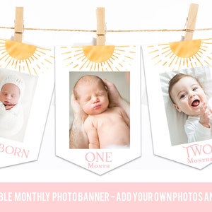 Sunshine monthly photo banner Sunshine first birthday party decorations, First trip around the sun birthday party ideas, Sun 1st birthday