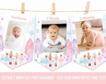 Nutcracker Birthday party monthly photo banner banner Winter Onederland decorations Sugar plum fairy party ballerina milestone photos pink