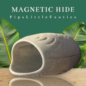 Magnetic Gecko Hide