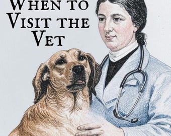 When to Visit the Vet