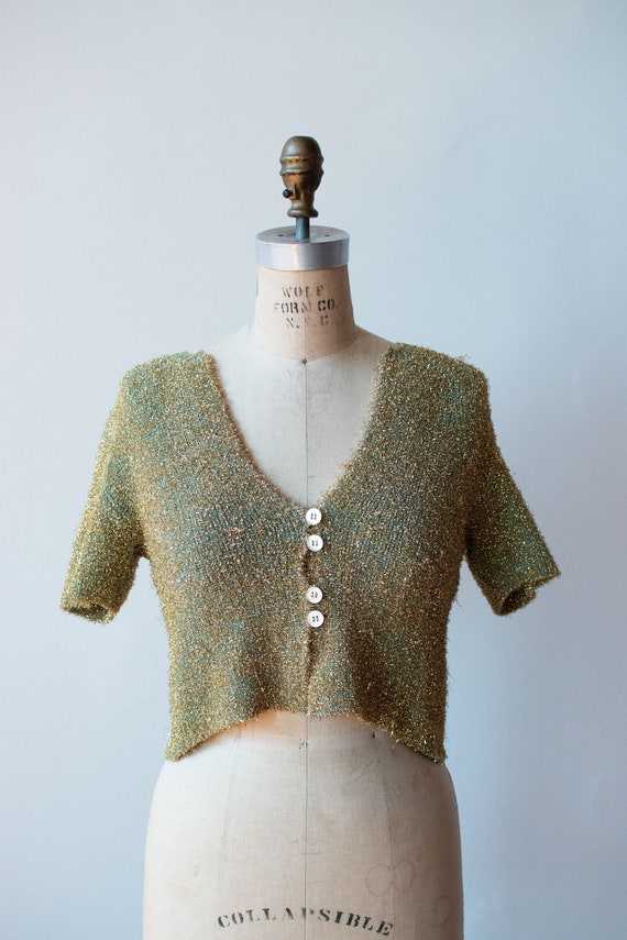Sparkly Cropped Knit Top | Anna Molenari Blumarine
