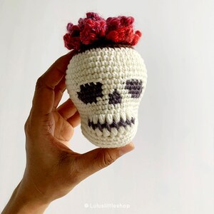 Crochet Pattern Combo: Skull Planter and Pointy Leaf Succulents by Luluslittleshop image 2