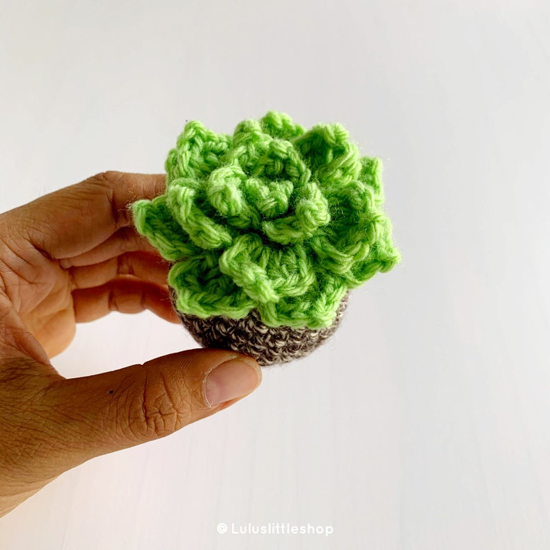 Crochet Pattern: Pointy Leaf Succulents 2 sizes with free Soil Ball by Luluslittleshop imagen 4