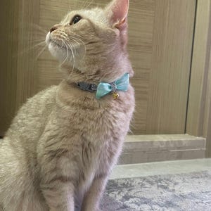 Handmade Glitter Cat Collar with Bell – Sparkly Adjustable Pet Accessory for Cute Cats & Kittens
