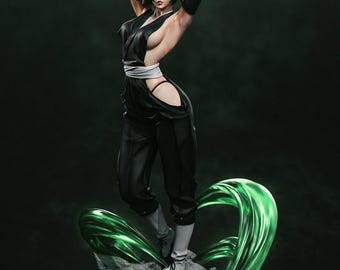Soifon Statue 239mm Hand Painted Resin Figure – Collectible Display Statue
