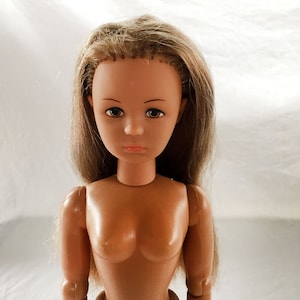 May include: A nude plastic doll with long brown hair and a neutral expression. The doll has articulated arms and legs.