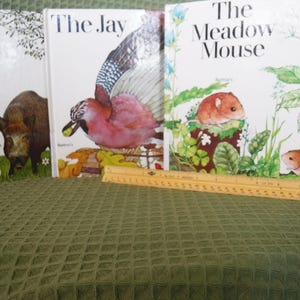 May include: Three vintage children's books with animal illustrations. Titles include "The Wild Boar," "The Jay," and "The Meadow Mouse." The covers feature colorful images of a boar, a bird, and mice. A wooden ruler rests in front of the books.