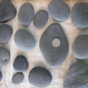 Ensemble d'accessoires en basalte pour la peinture, l'artisanat, la collection, le terrarium, les jardins, etc.