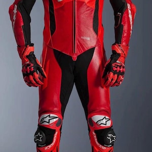 Vintage Alpinestars GP Plus V4 Sprint 1-Piece Leather Race Suit –handmade original Leather,