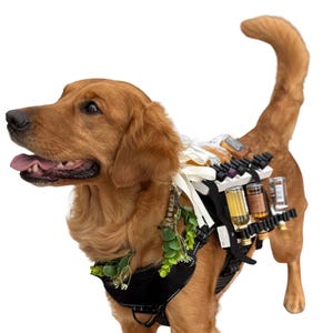 犬用ウェディング＆イベントハーネス：ミニリキュールボトルキャリア、フラワーガール／リングベアラー用アクセサリー